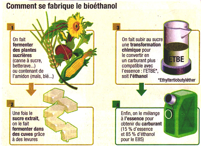 bioethanol de betterave